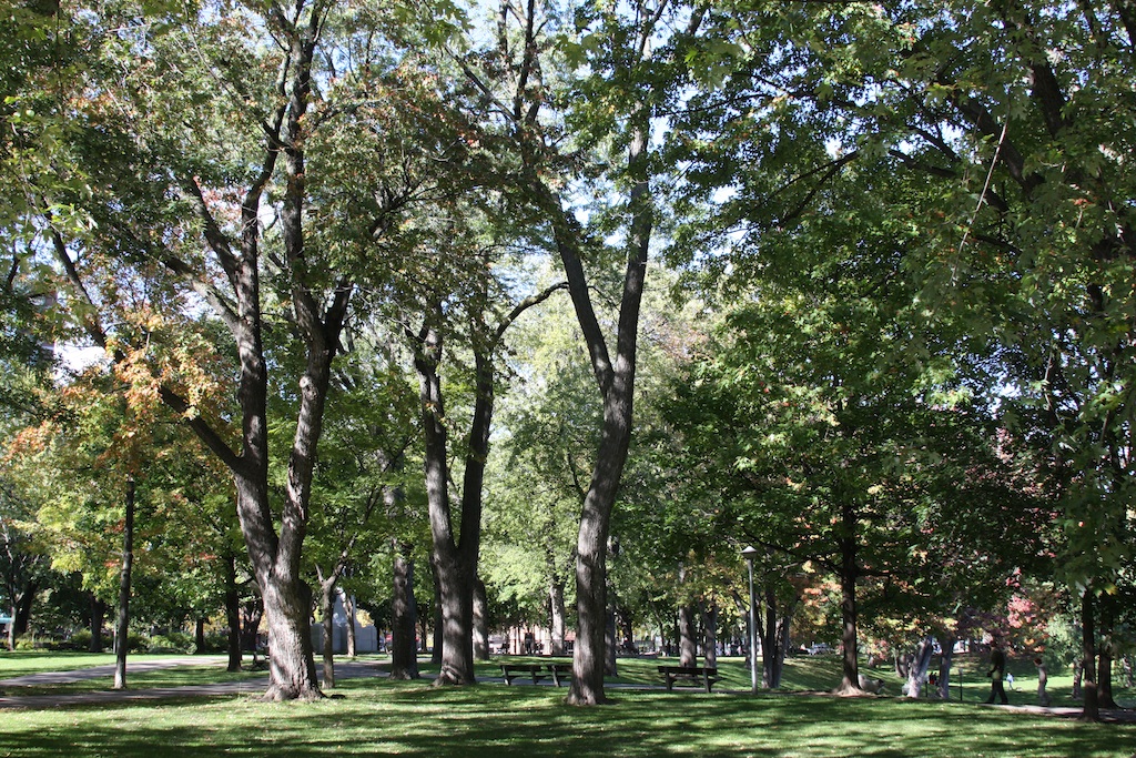 Located in the Plateau district, Parc Lafontaine features a fountain, bike paths, and waterfalls. (Source: MRNY)