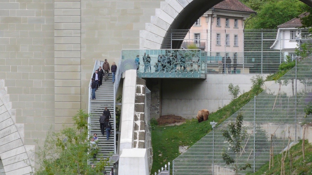 Bern’s Bear Park  (Source: MRNY)
