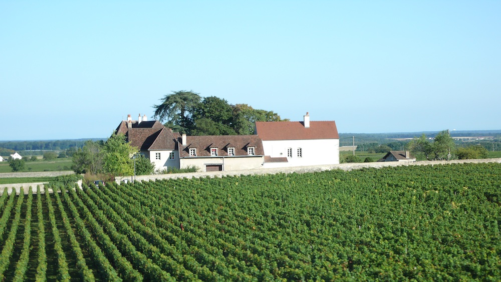 Located approximately twenty miles from Dijon, the Cote de Nuits wine region produces robust and elegant red wines with an intense, fragrant bouquet.  (Source: MRNY)