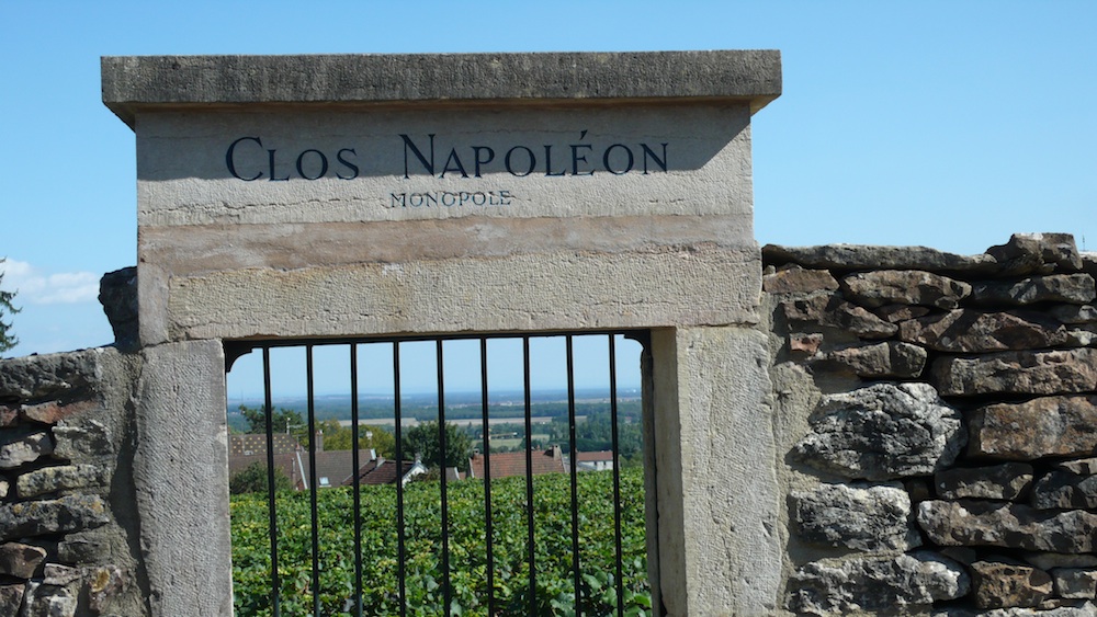 The Cote de Nuits region is where monks practiced winemaking for nearly 700 years. (Source: MRNY)
